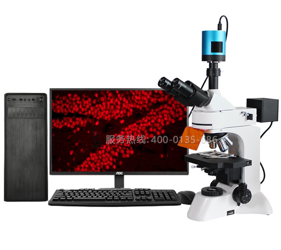 FR-3CL科研級三目落射熒光顯微鏡LED定制款