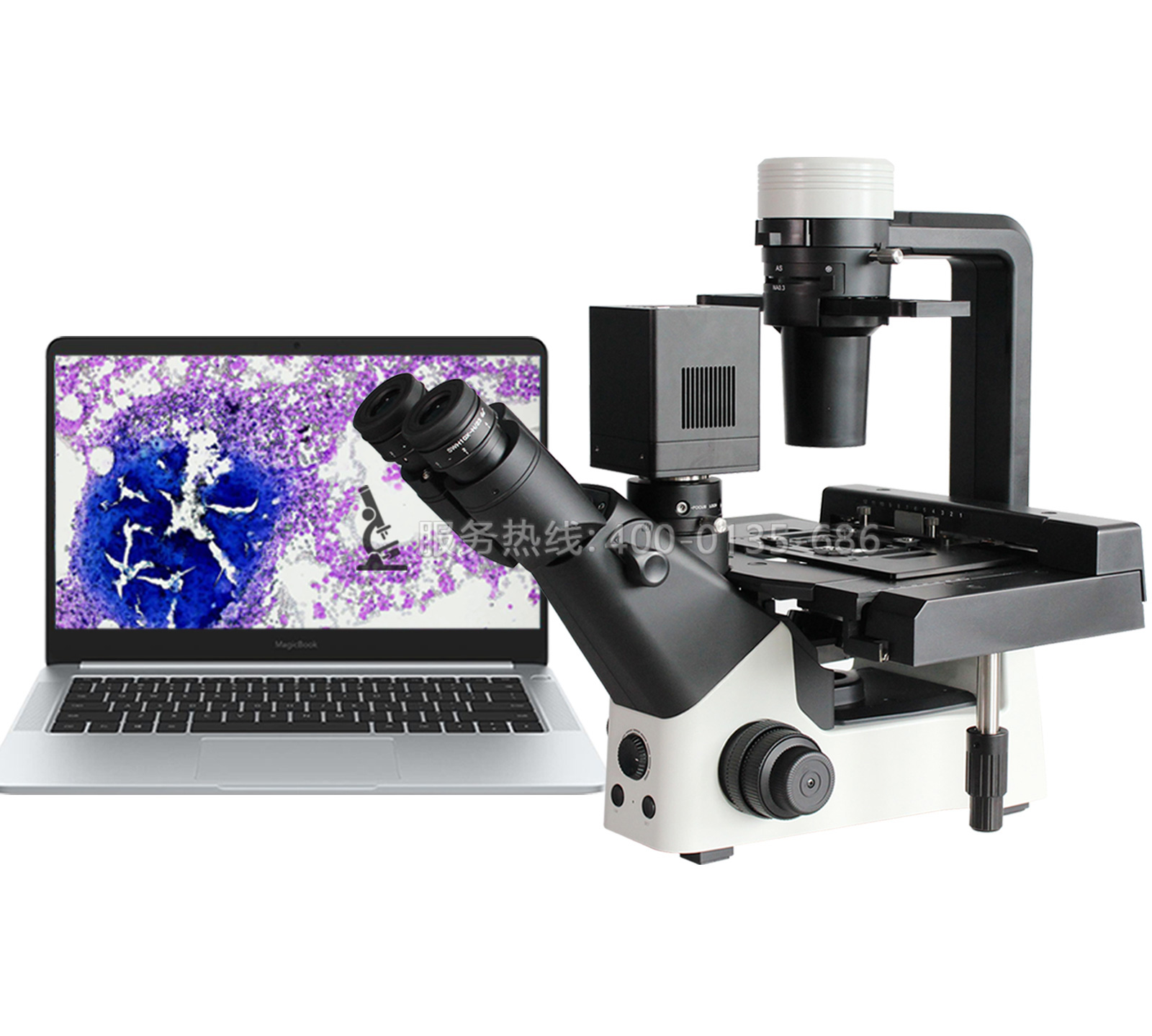 BLD-330PH科研級三目倒置相襯生物顯微鏡